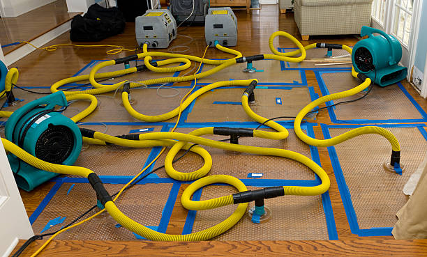 Professional Storm Water Damage Restoration technician working in Spring Grove, IL